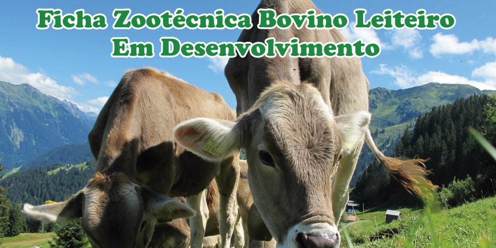 ficha_zootecnica_bovino_leiteiro