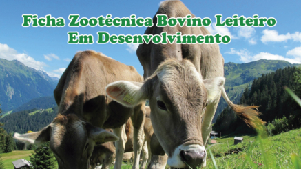 ficha_zootecnica_bovino_leiteiro