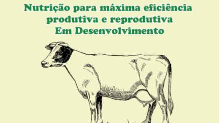 nutricao_maxima_eficiencia