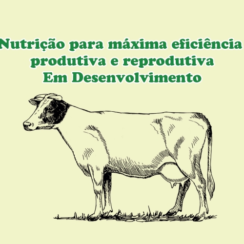 nutricao_maxima_eficiencia